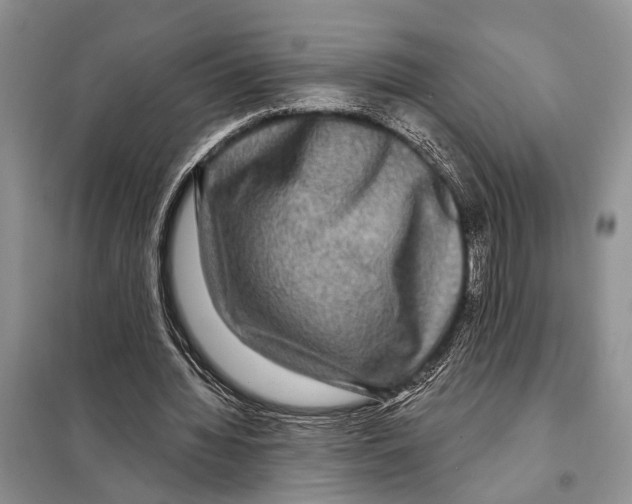 X0000097890436200804111022