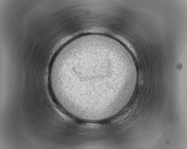 X0000097890437200804111022