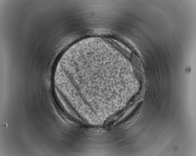 X0000097890443200804111022