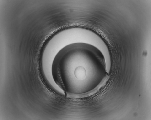 X0000097890444200804111022