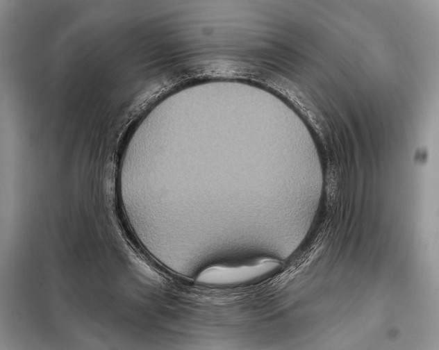 X0000097890445200804111022