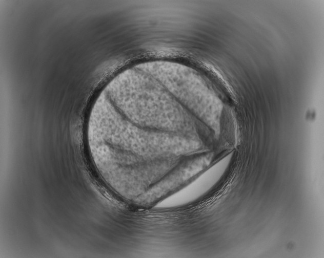 X0000097890447200804111022