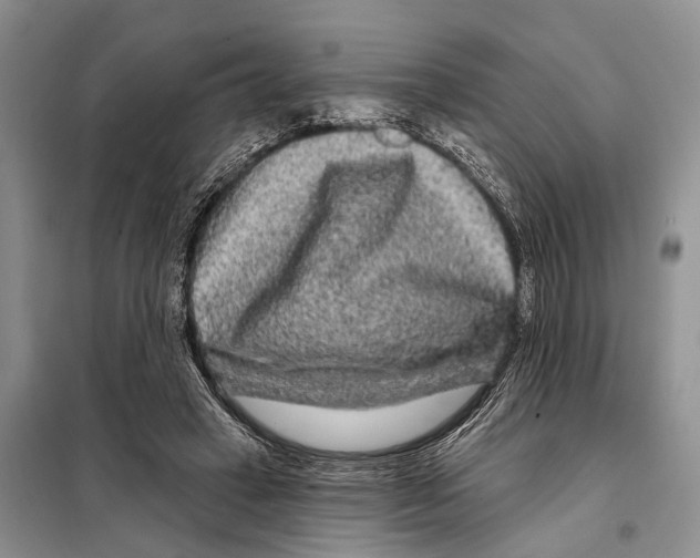 X0000097890449200804111022