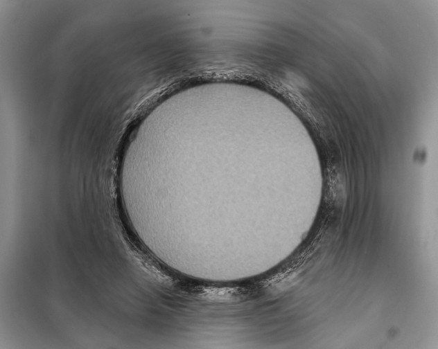 X0000097890450200804111022