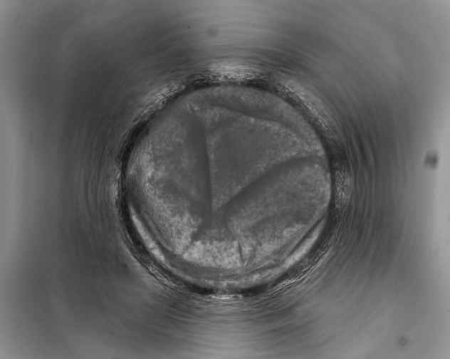 X0000097890451200804111022