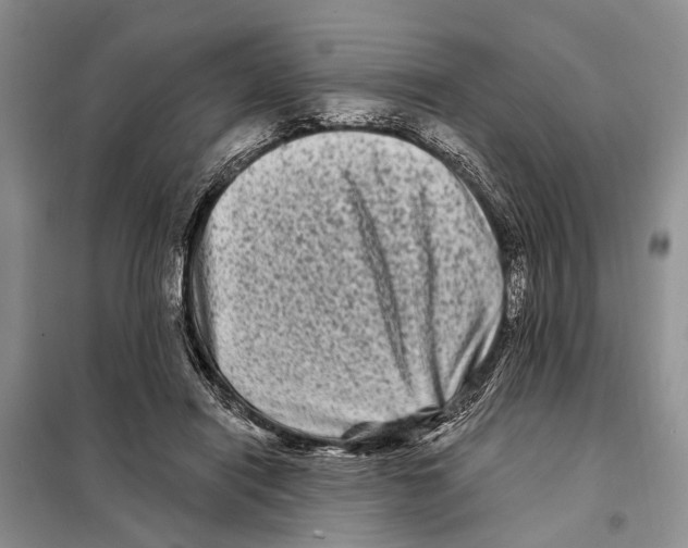 X0000097890454200804111022