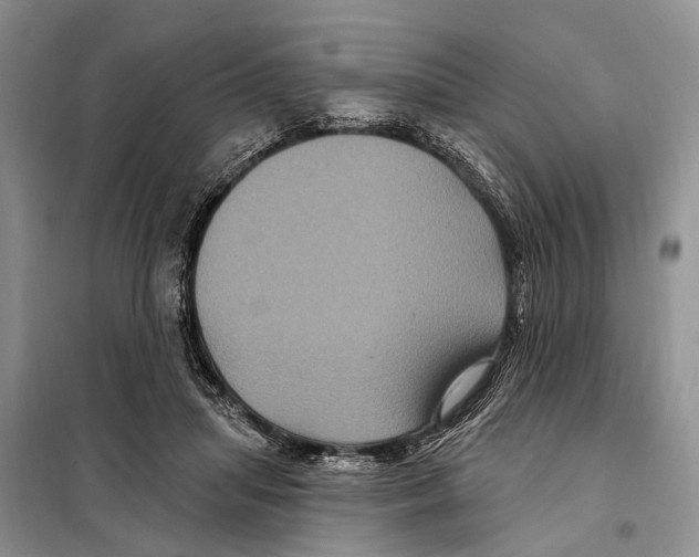 X0000097890455200804111022