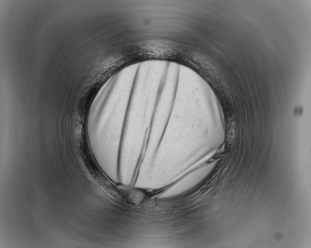 X0000097890456200804111022