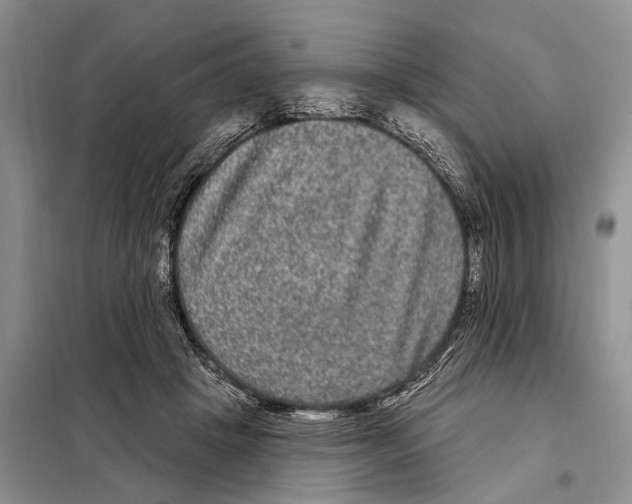 X0000097890457200804111022