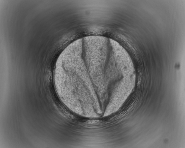 X0000097890459200804111022