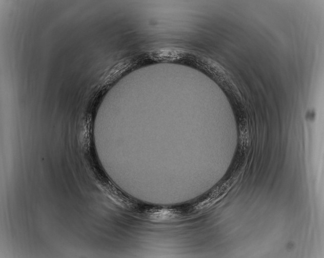 X0000097890460200804111022