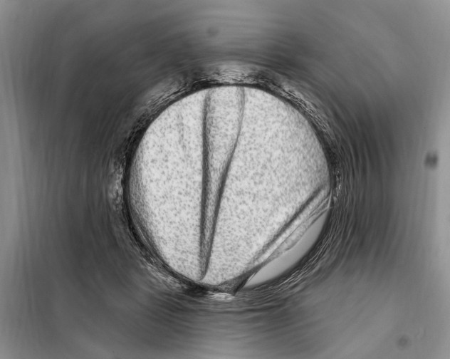 X0000097890461200804111022