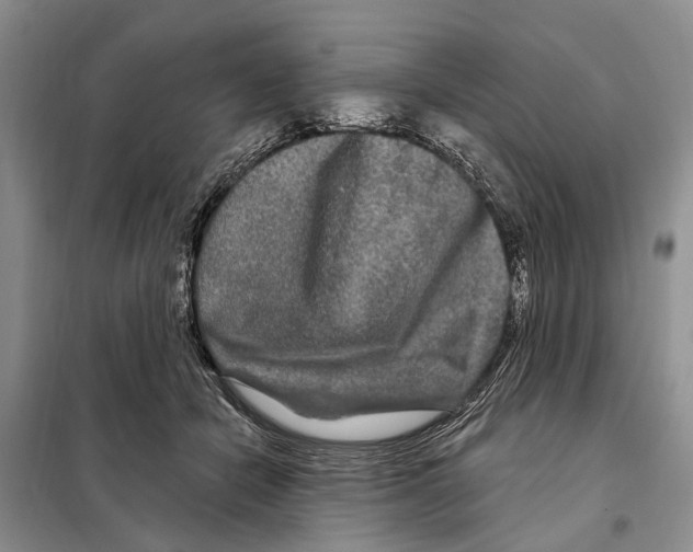 X0000097890462200804111022