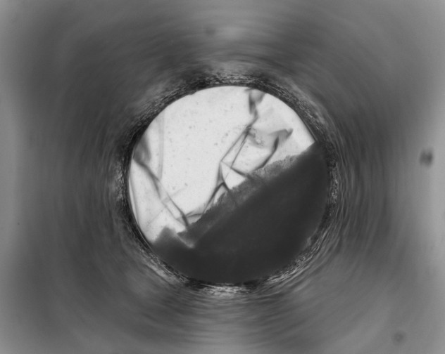 X0000097890465200804111022