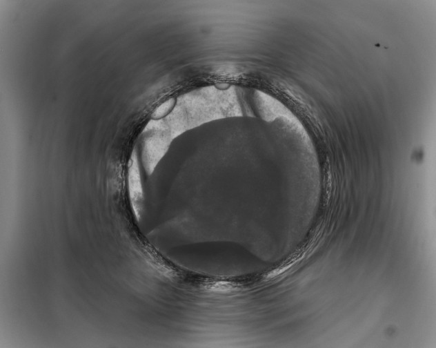 X0000097890467200804111022