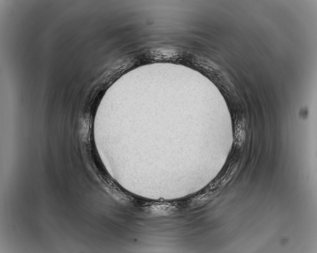 X0000097890468200804111022