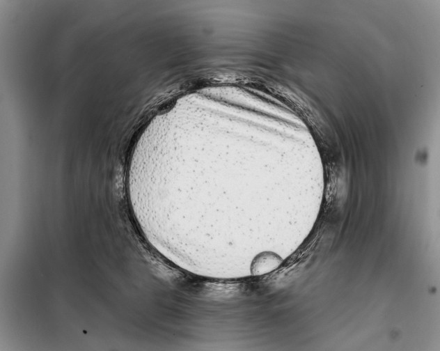 X0000097890469200804111022