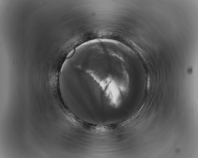 X0000097890475200804111023