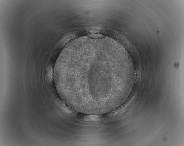 X0000097890479200804111023