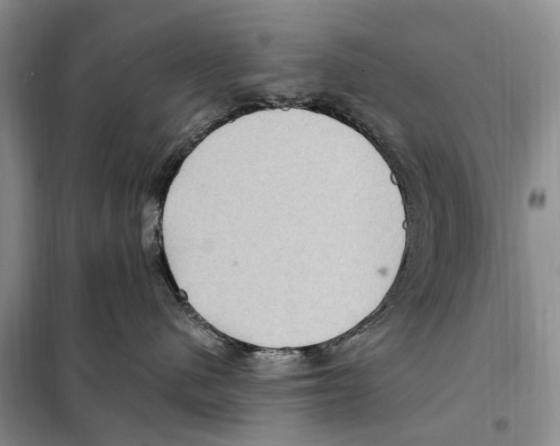 X0000097890480200804111023