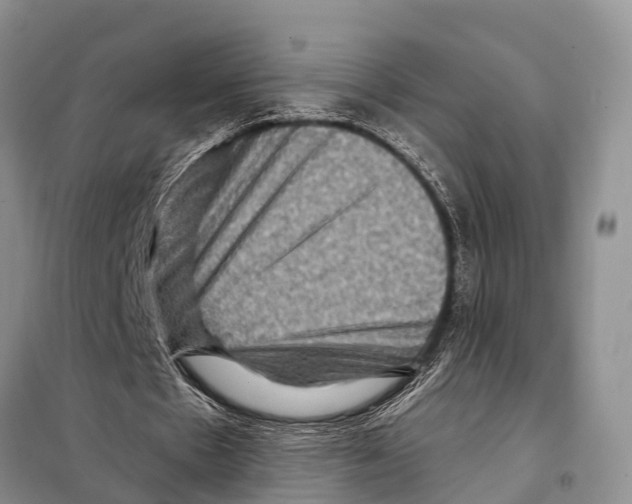 X0000097890481200804111022