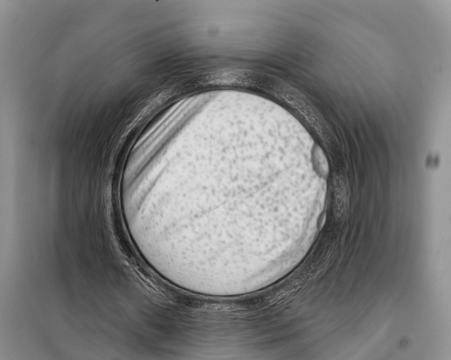 X0000097890482200804111022