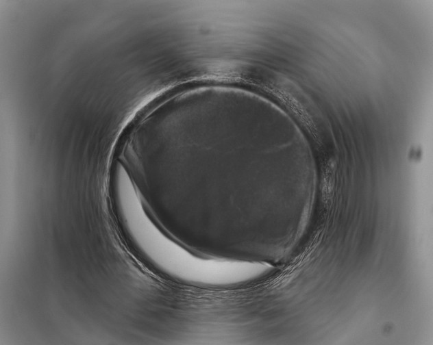 X0000097890484200804111022