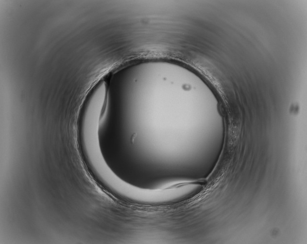 X0000097890485200804111022