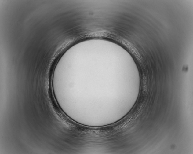 X0000097890486200804111022