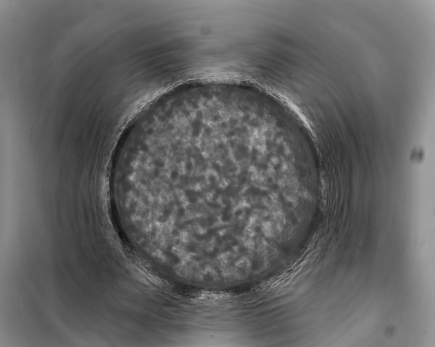 X0000097890487200804111022