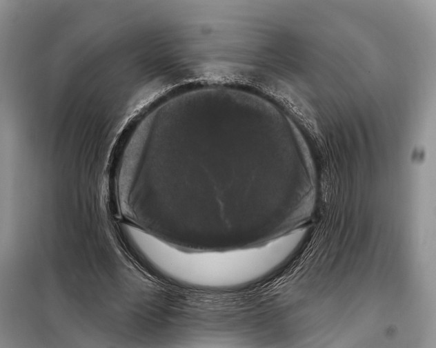 X0000097890488200804111022