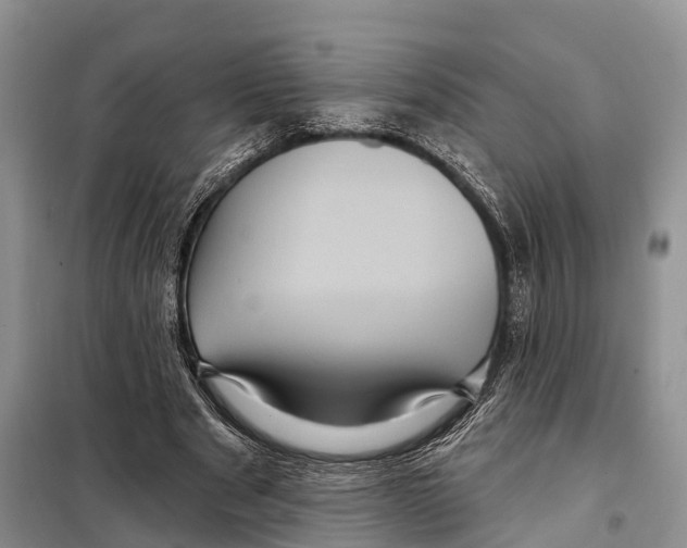 X0000097890489200804111022