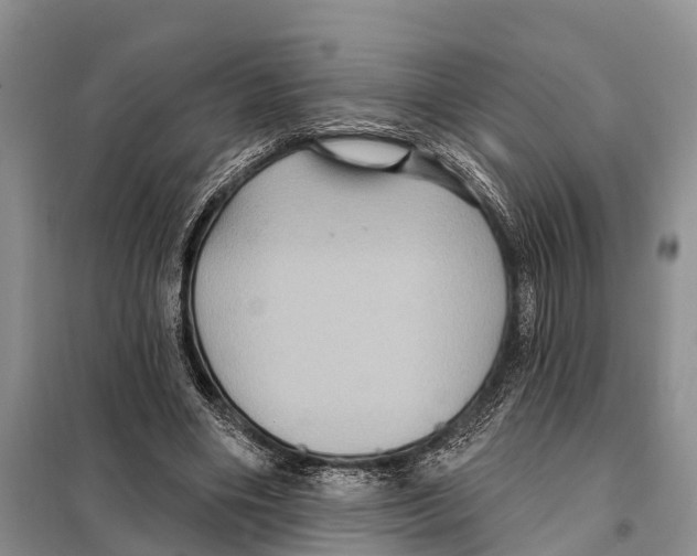 X0000097890490200804111022