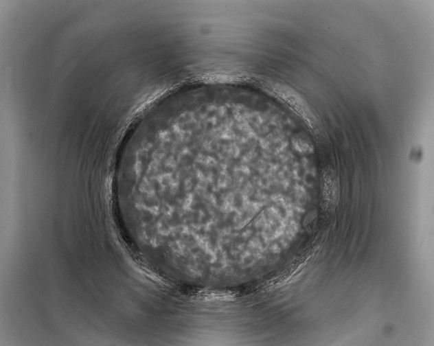 X0000097890491200804111022