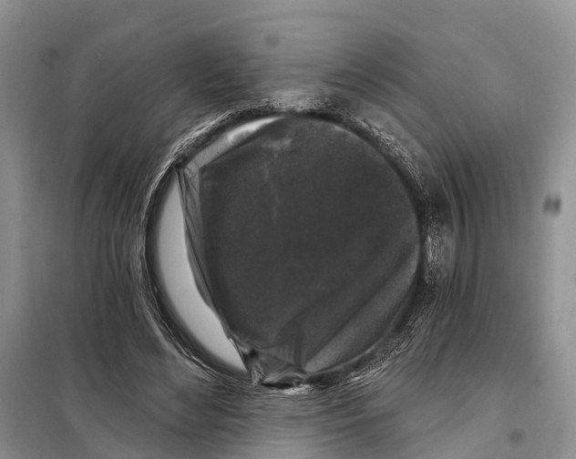 X0000097890492200804111022