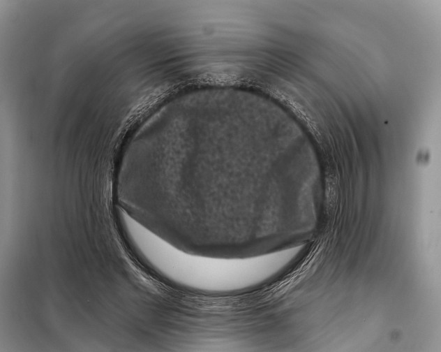 X0000097890493200804111022