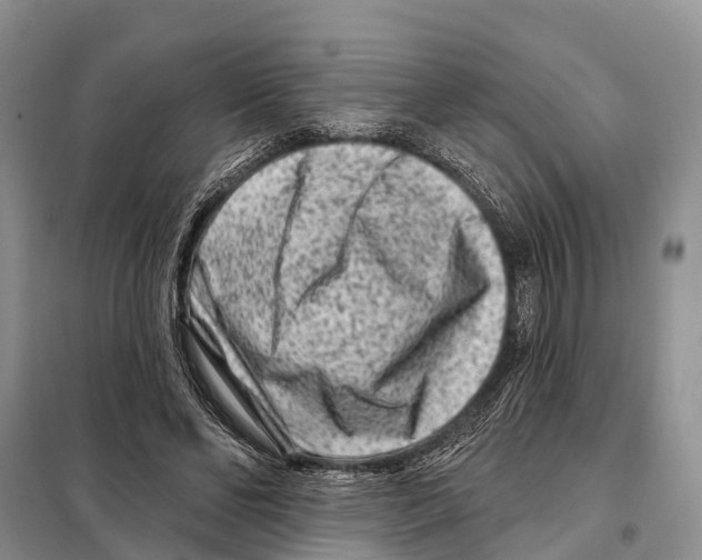 X0000097890494200804111022