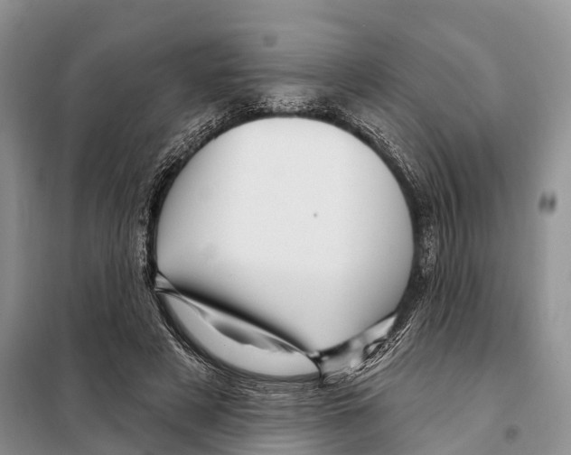 X0000097890497200804111022