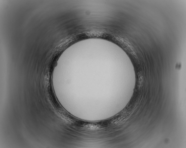 X0000097890498200804111022