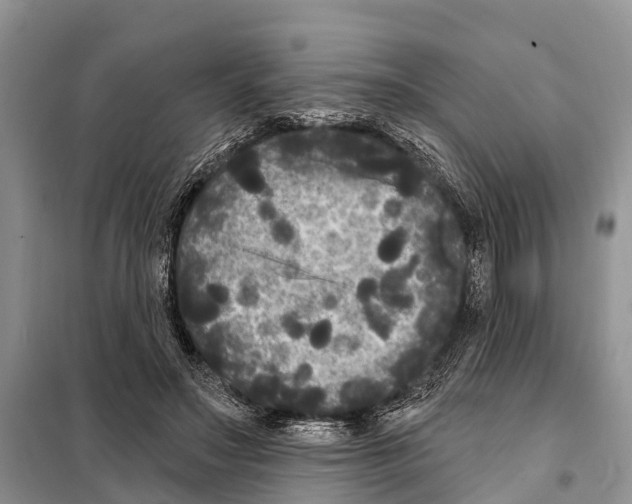 X0000097890499200804111022