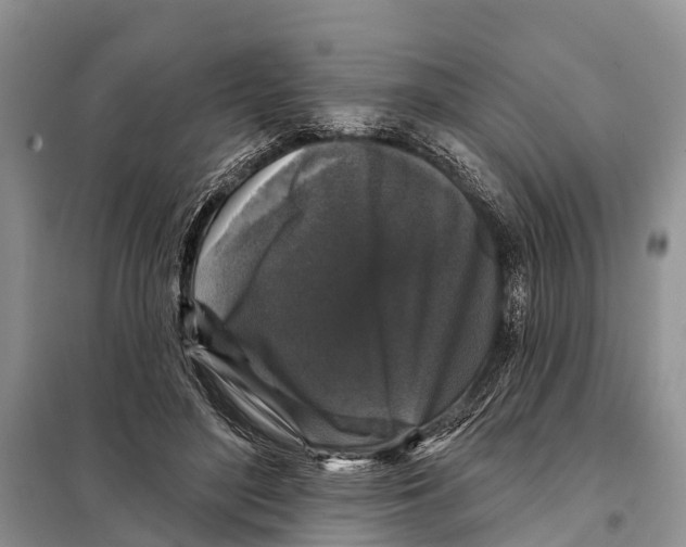 X0000097890500200804111021