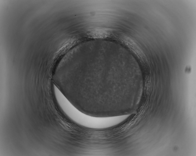 X0000097890501200804111021