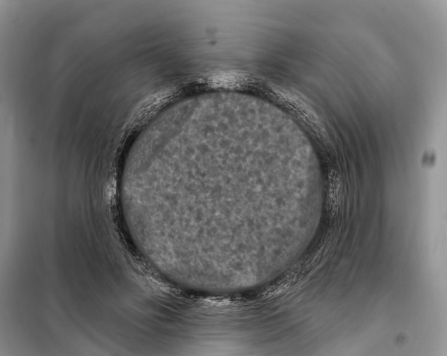 X0000097890502200804111021