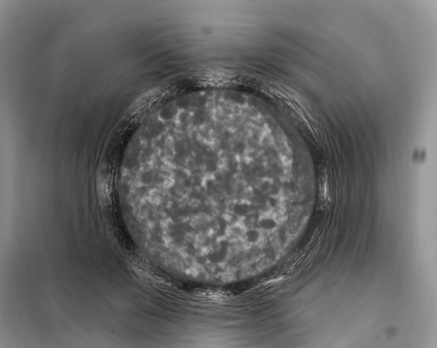 X0000097890503200804111021