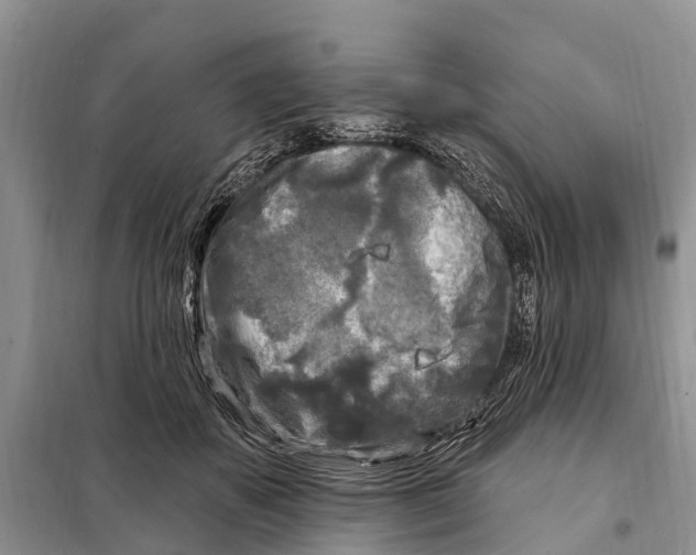 X0000097890507200804111021