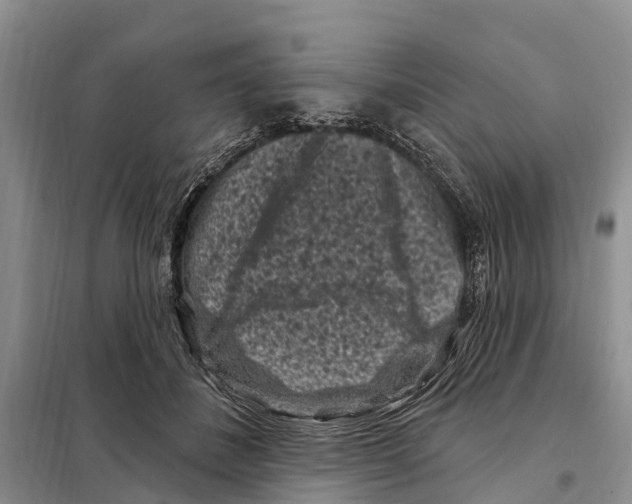 X0000097890508200804111021