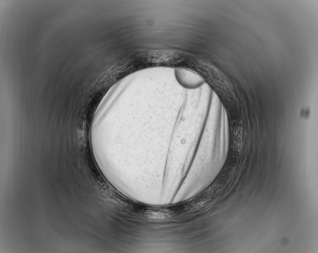 X0000097890510200804111021