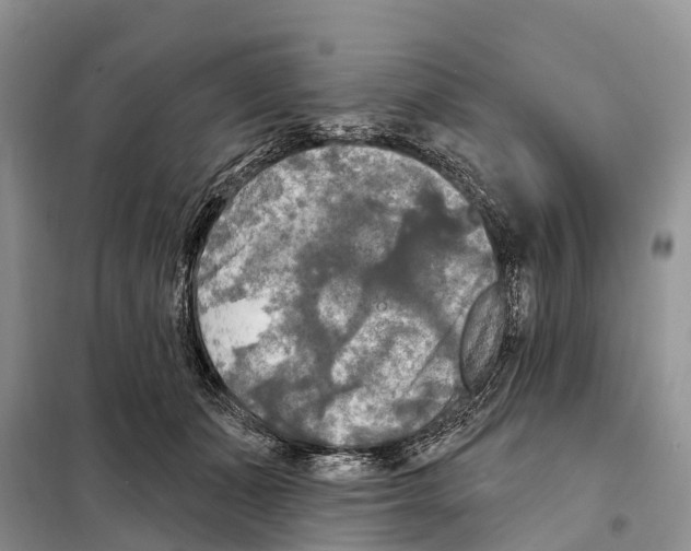 X0000097890511200804111021