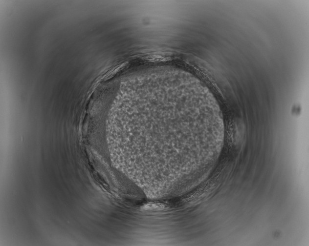 X0000097890512200804111021