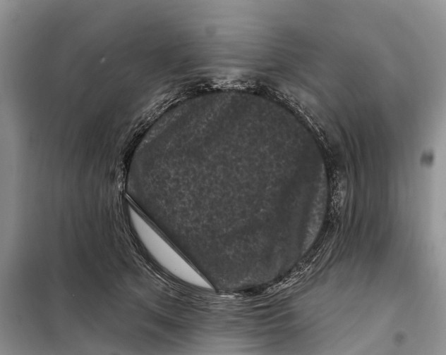 X0000097890513200804111021